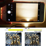 COB LED Lamp Chip 220V 10W 20W 30W 50W LED Bulb Smart IC No Need Driver Lampada For Flood Light Spotlight Diy Lighting