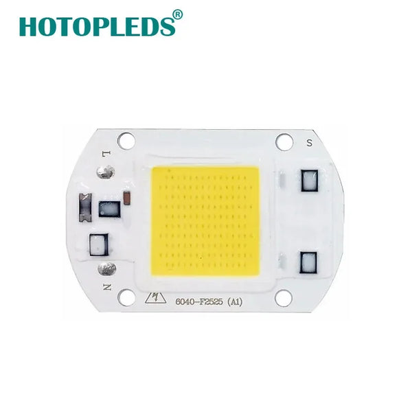 COB LED Lamp Chip 220V 10W 20W 30W 50W LED Bulb Smart IC No Need Driver Lampada For Flood Light Spotlight Diy Lighting
