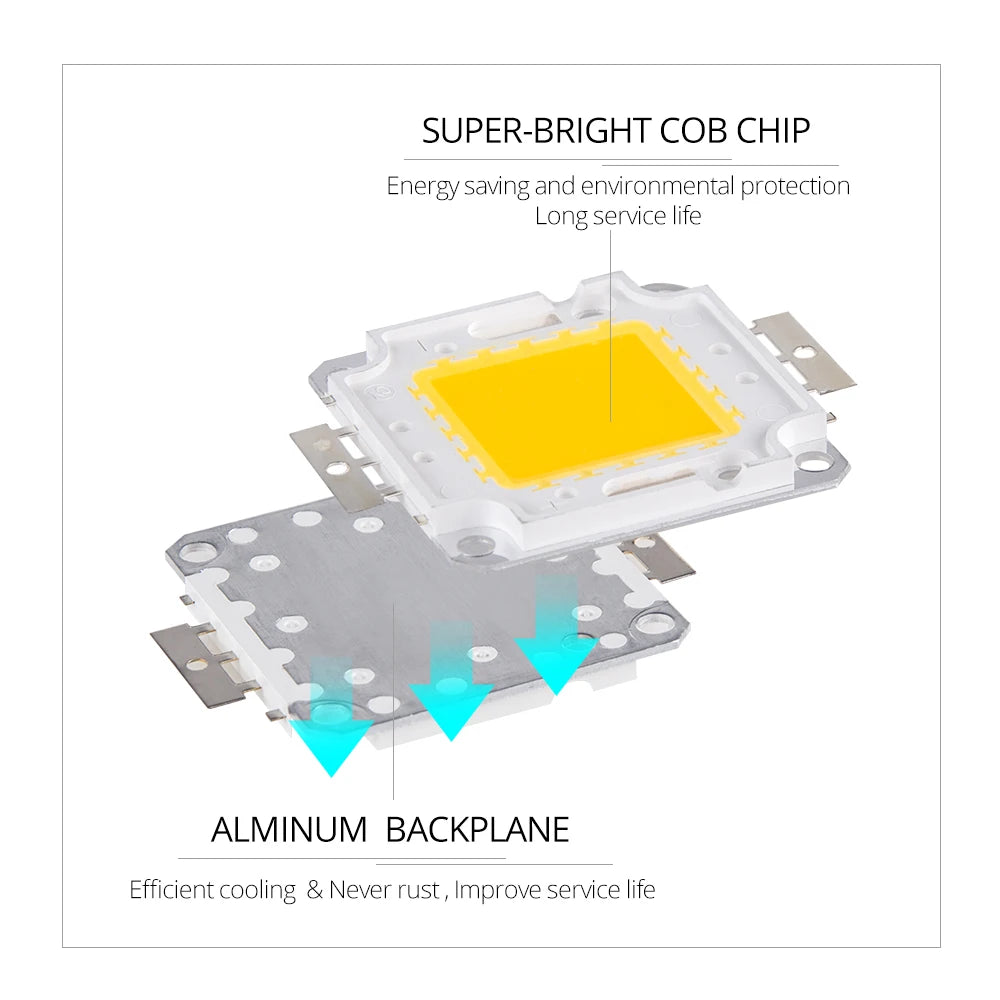 COB LED Chip Lamp Light Beads 10W 20W 30W 50W 100W 30-32V SMD Cool White Warm White DIY For LED Flood Light Spotlight High Power