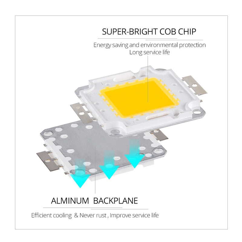 COB LED Chip Lamp Light Beads 10W 20W 30W 50W 100W 30-32V SMD Cool White Warm White DIY For LED Flood Light Spotlight High Power